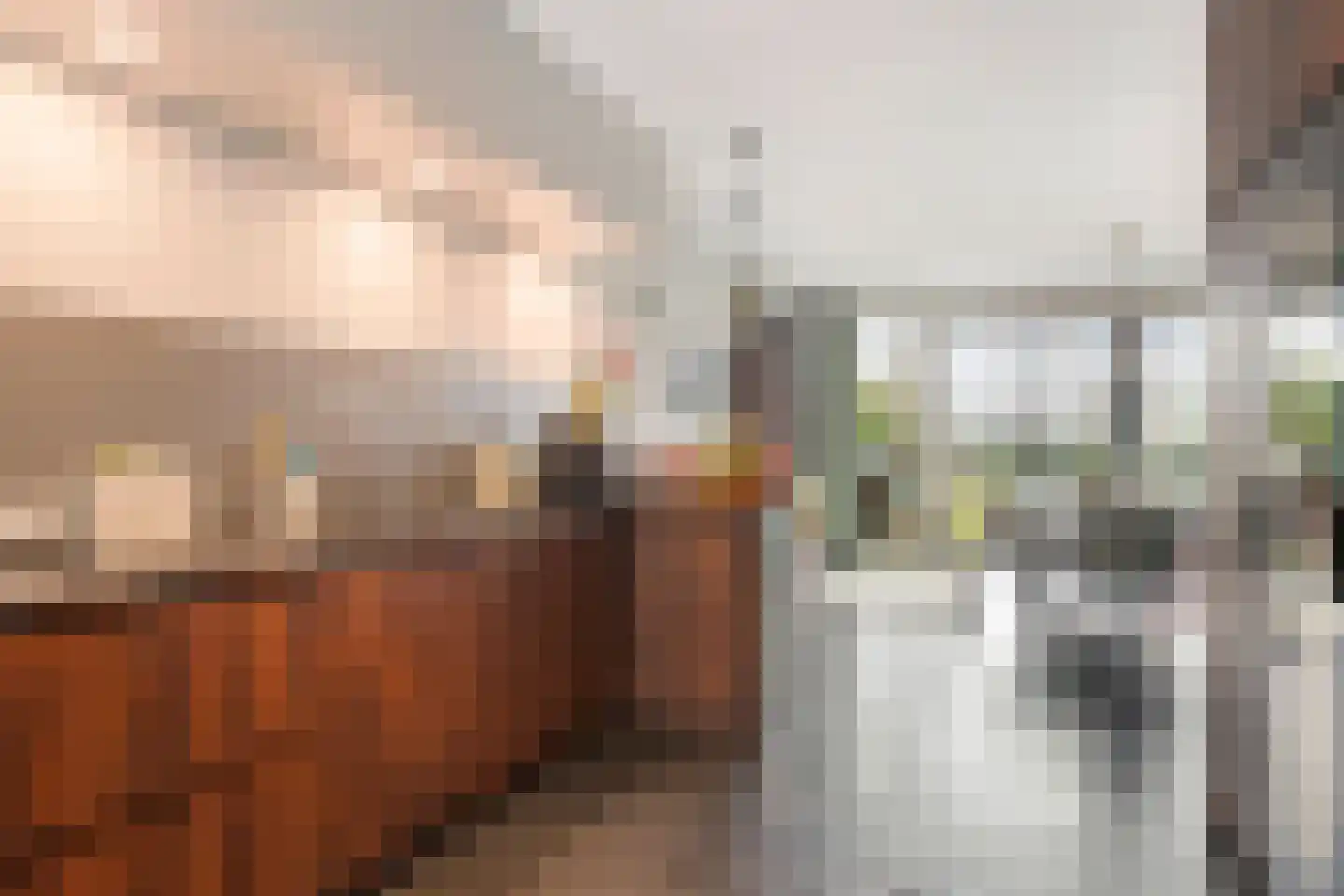 Ds. Bechtlaan 13 Arnhem thumbnail 21