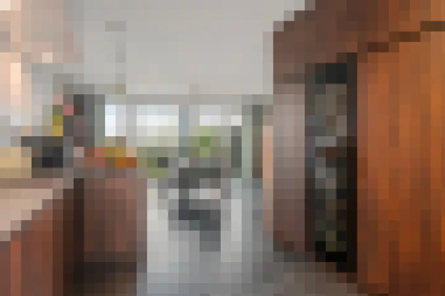 Ds. Bechtlaan 13 Arnhem thumbnail 22