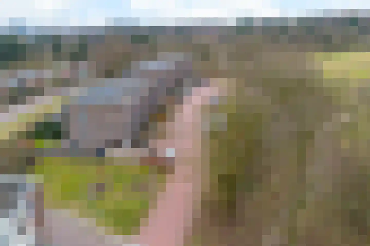 Ds. Bechtlaan 13 Arnhem thumbnail 63