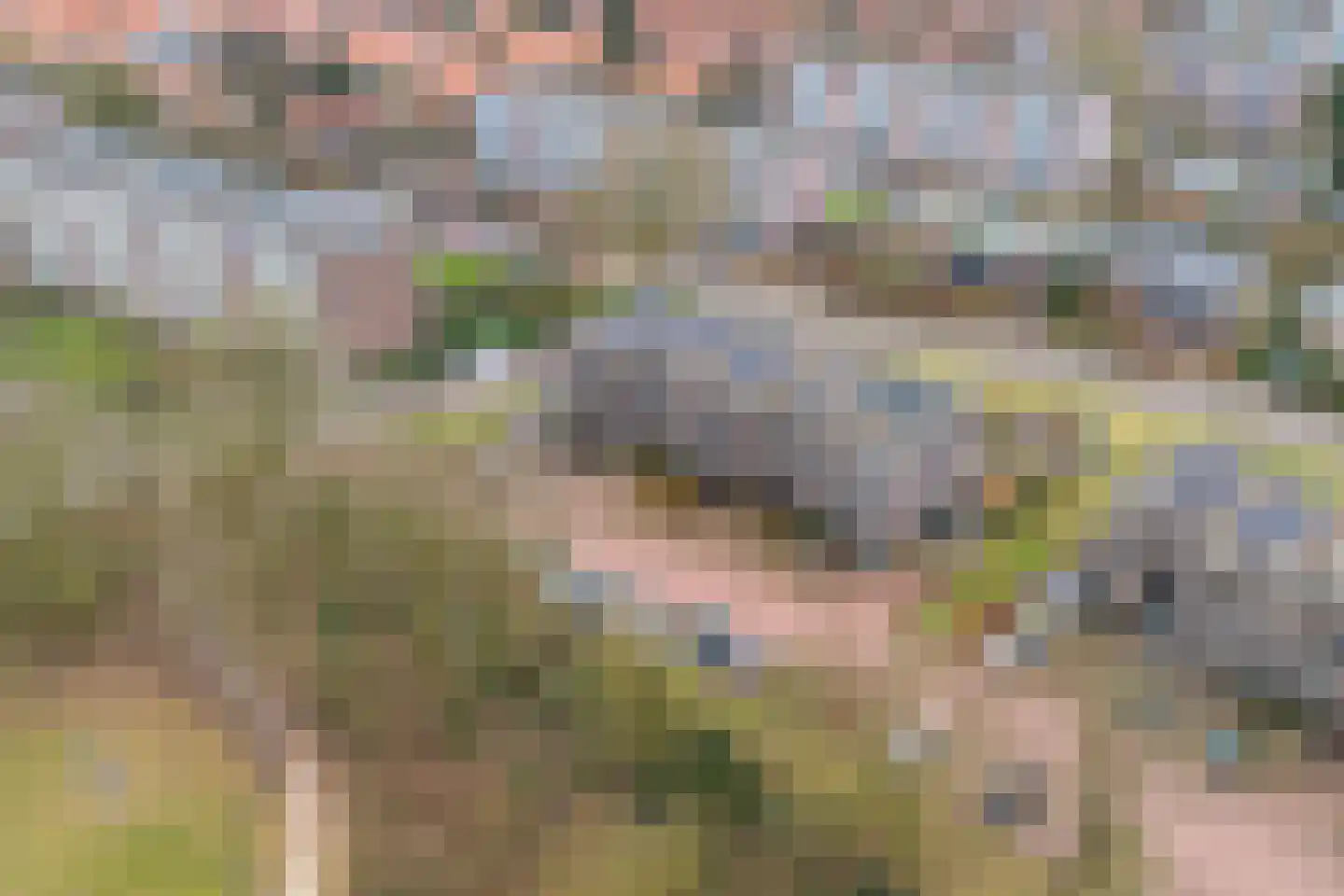 Ds. Bechtlaan 13 Arnhem thumbnail 64