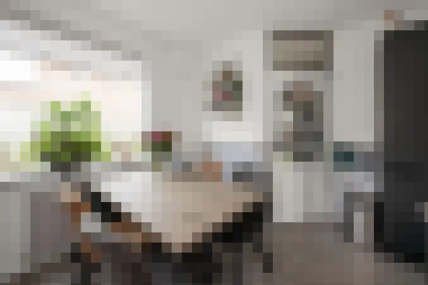 Ds. Bennink Boltstraat 10 Zwammerdam thumbnail 10
