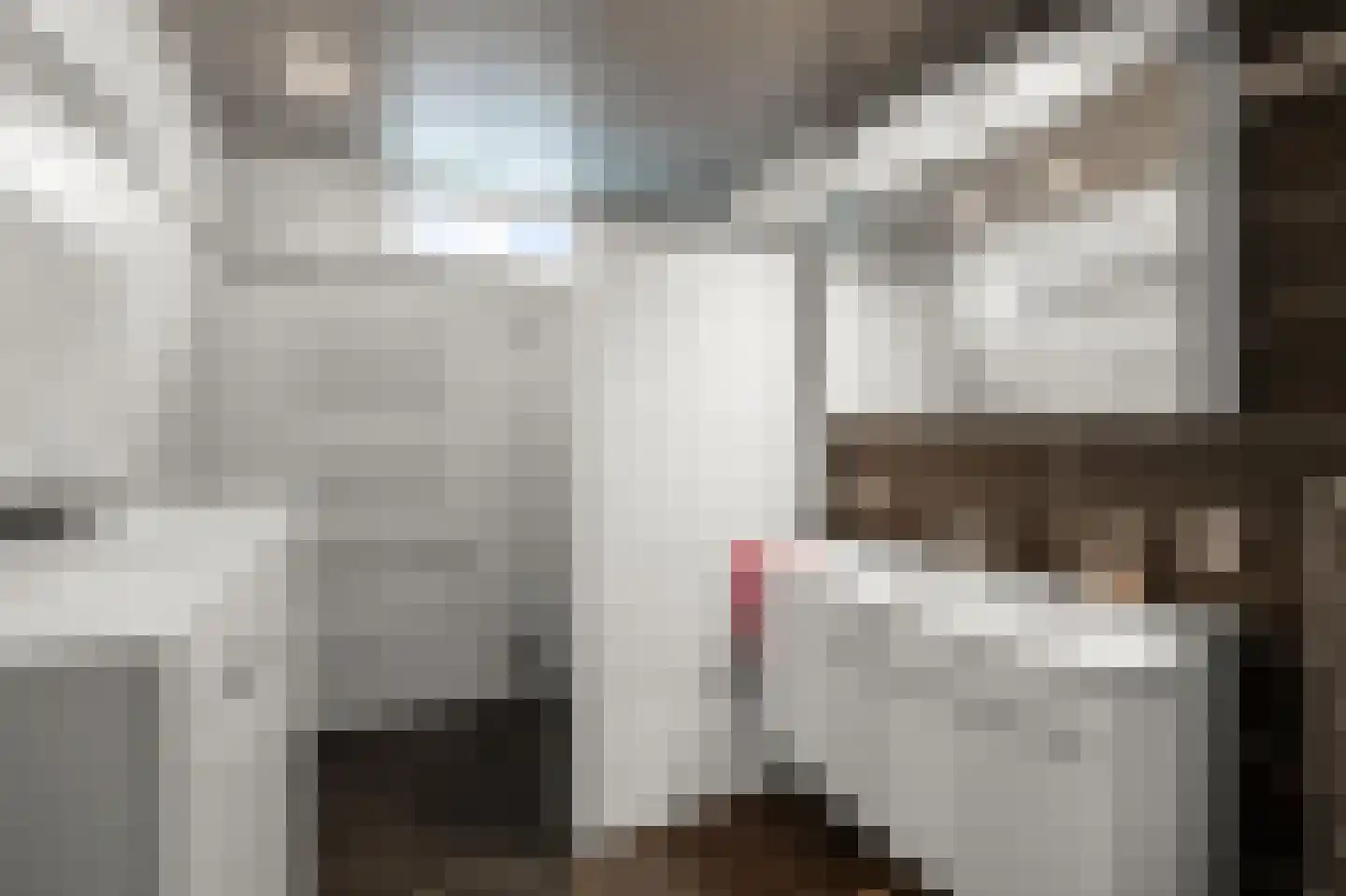 Ds. Bennink Boltstraat 10 Zwammerdam thumbnail 18