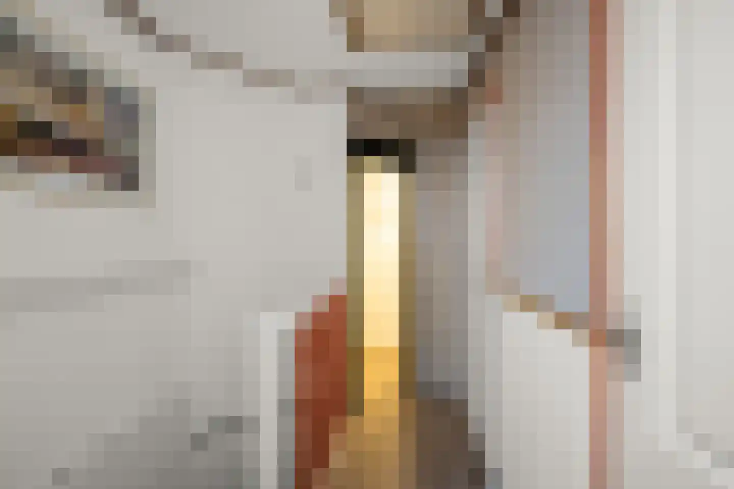 Ds. Bennink Boltstraat 10 Zwammerdam thumbnail 22