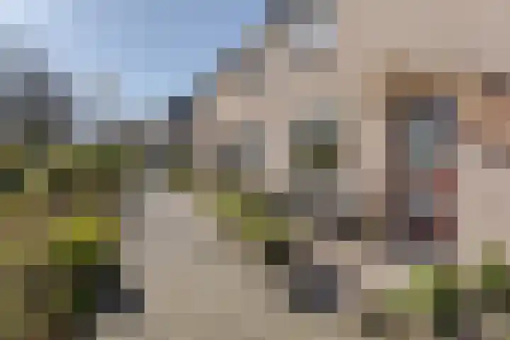Ds. Bennink Boltstraat 4 Zwammerdam thumbnail 26