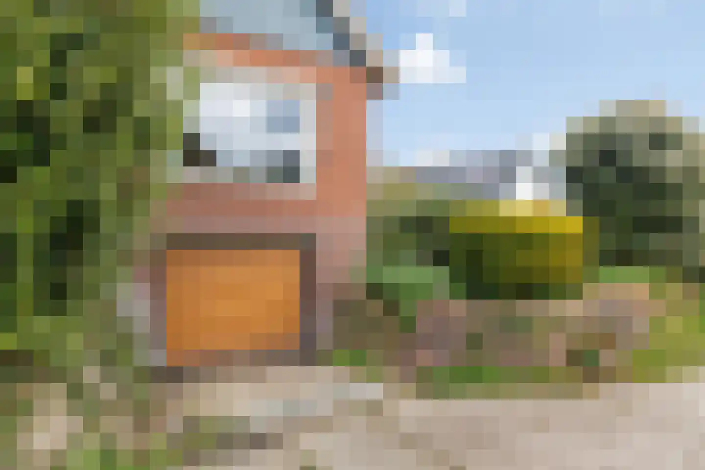 Ds. C.Keersstraat 68 Lemelerveld thumbnail 27