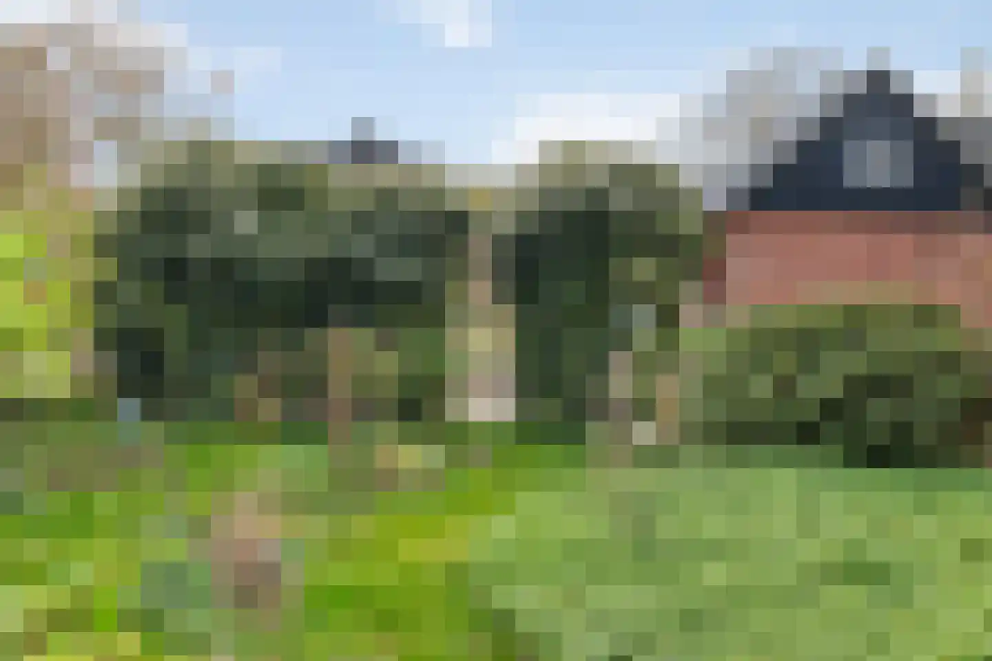 Ds. C.Keersstraat 68 Lemelerveld thumbnail 32