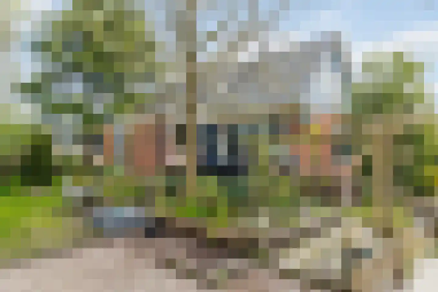 Ds. C.Keersstraat 68 Lemelerveld thumbnail 33