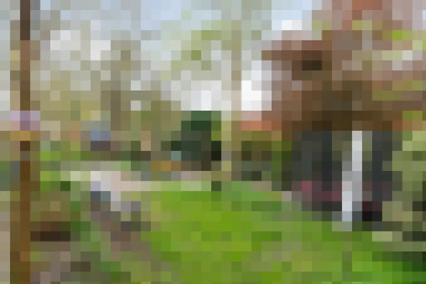 Ds. C.Keersstraat 68 Lemelerveld thumbnail 35