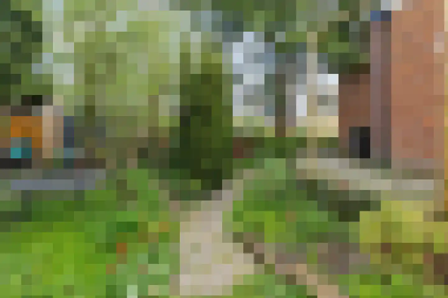Ds. C.Keersstraat 68 Lemelerveld thumbnail 36