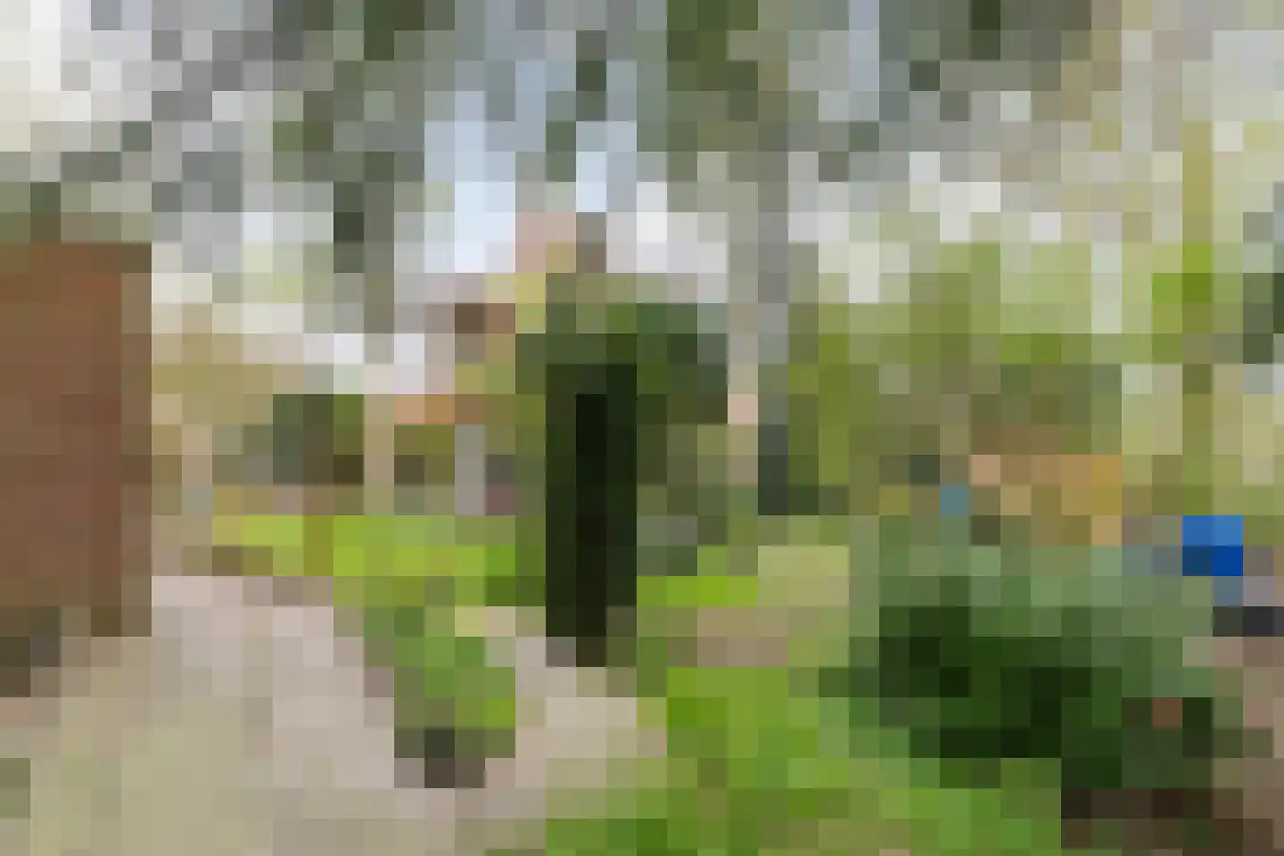 Ds. C.Keersstraat 68 Lemelerveld thumbnail 37