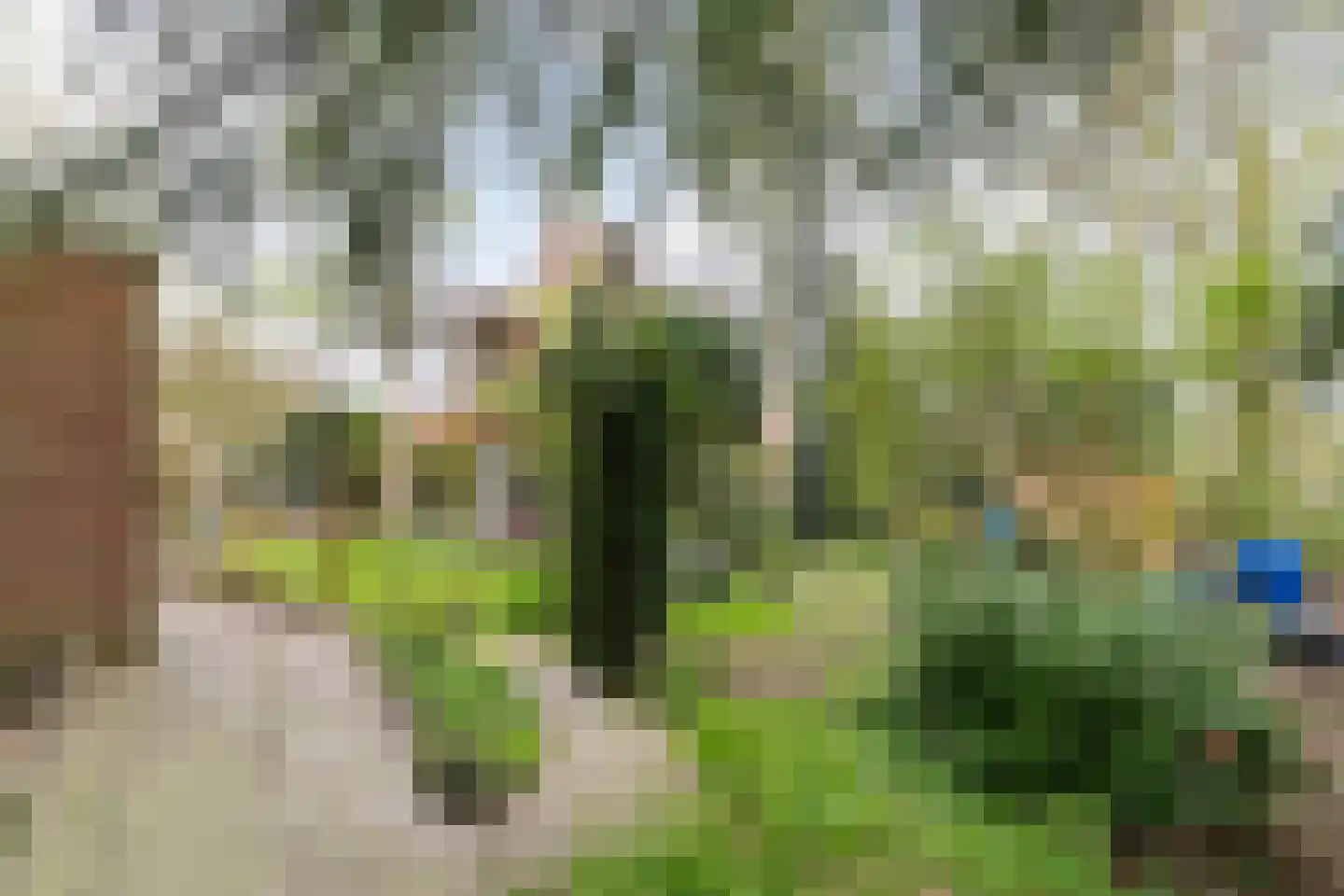 Ds. C.Keersstraat 68 Lemelerveld thumbnail 37
