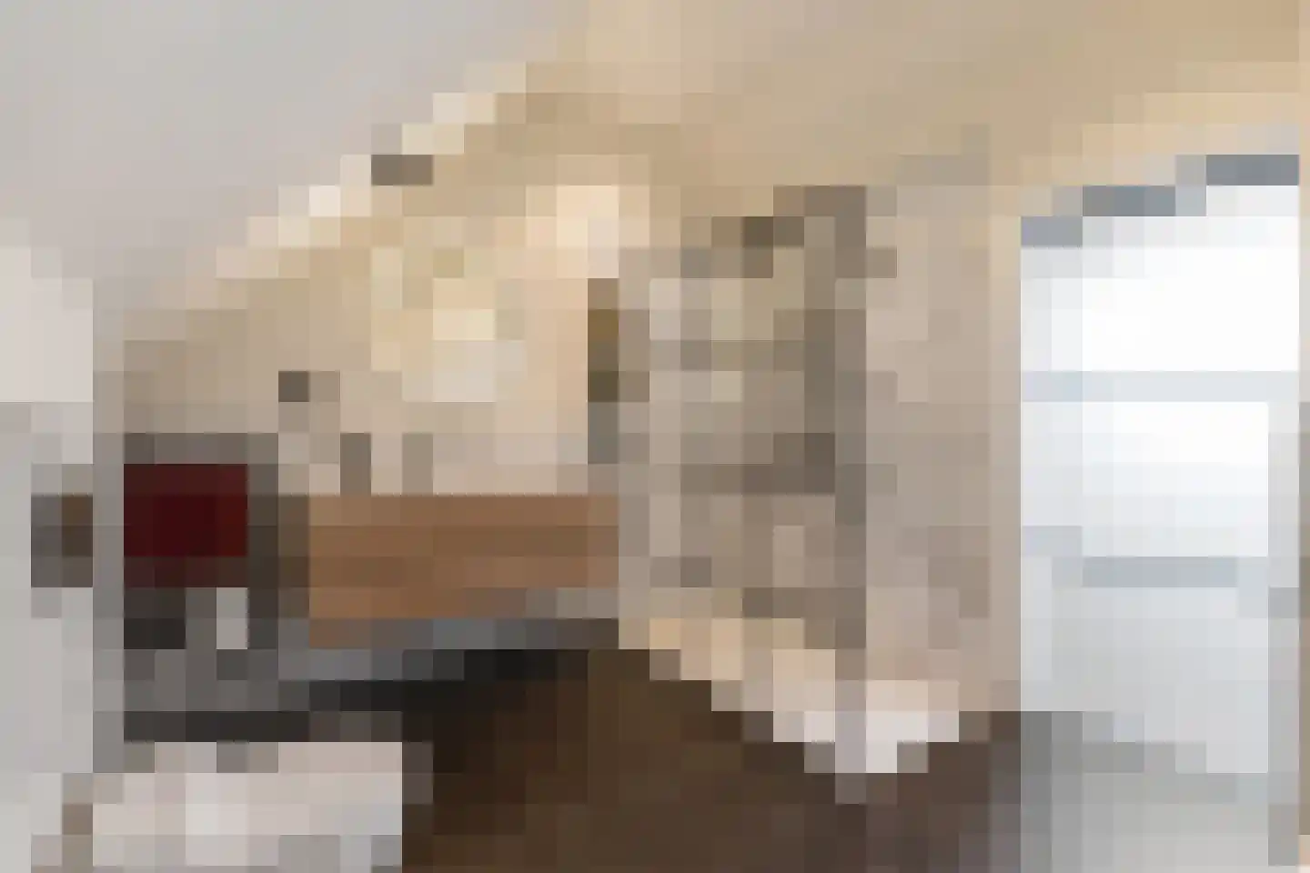 Ds. C.Keersstraat 68 Lemelerveld thumbnail 4