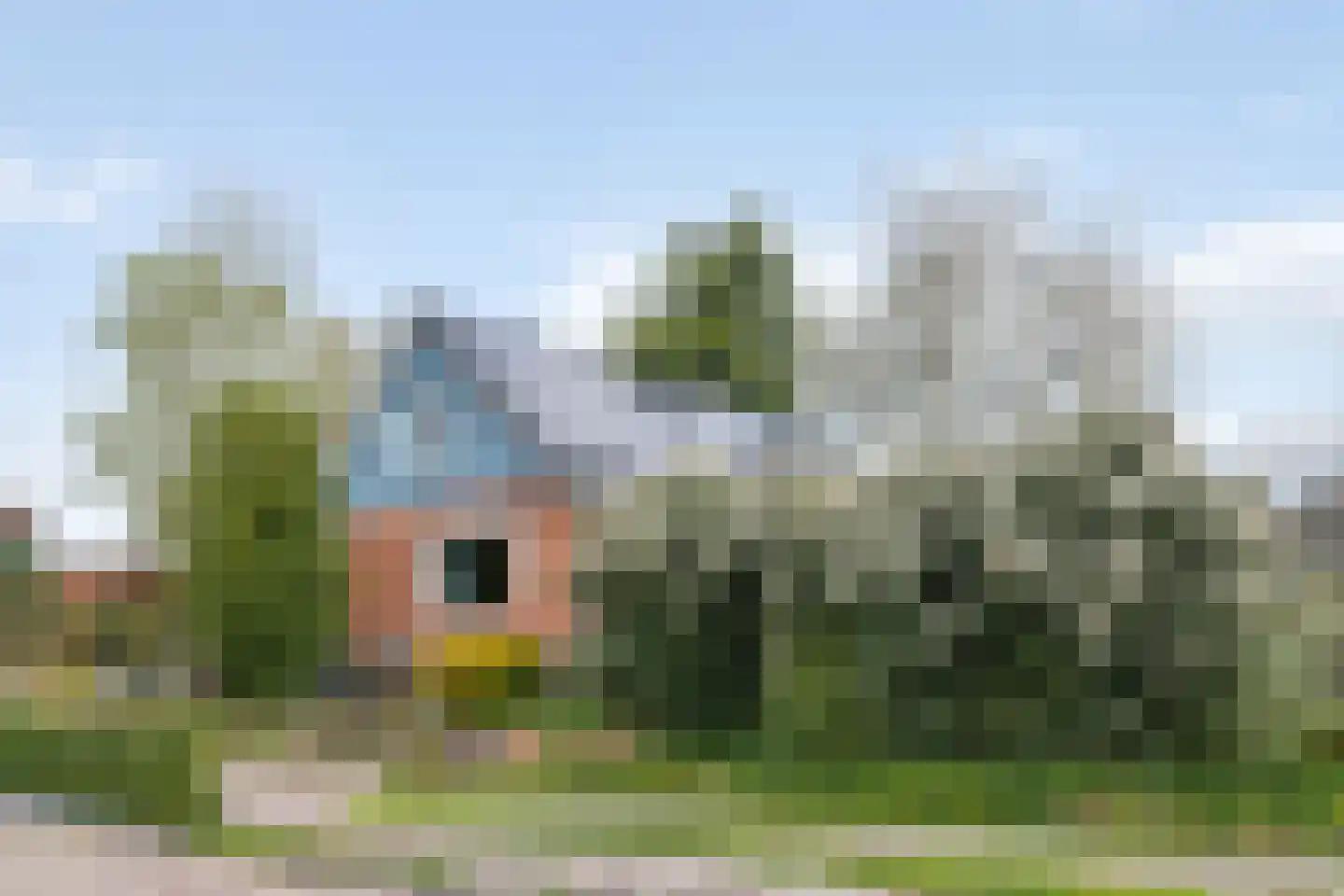 Ds. C.Keersstraat 68 Lemelerveld thumbnail 6