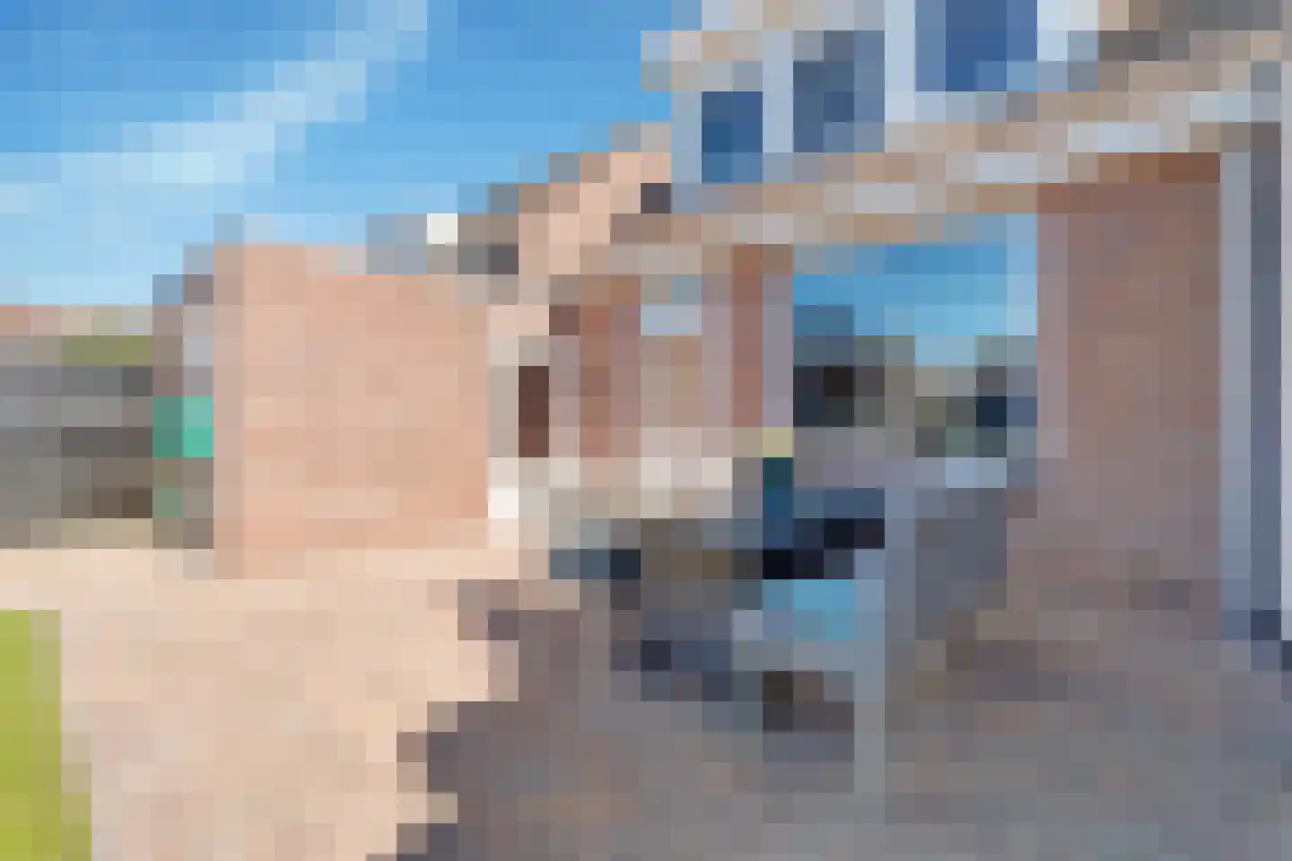 Ds. C.Keersstraat 7 Lemelerveld thumbnail 33