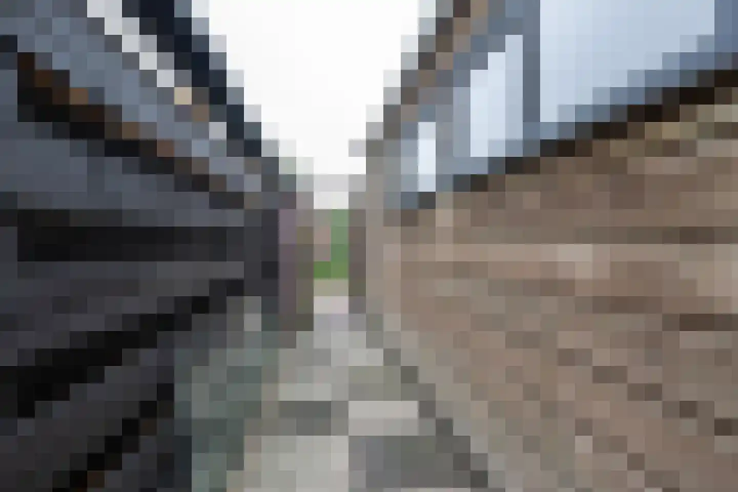 Ds. C.W. van de Poelstraat 10 Den Bommel thumbnail 26