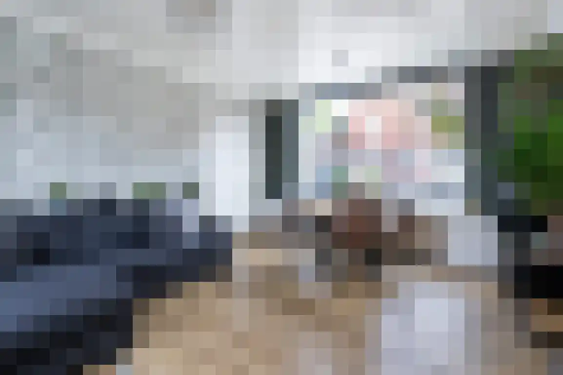 Ds. C.W. van de Poelstraat 14 Den Bommel thumbnail 11