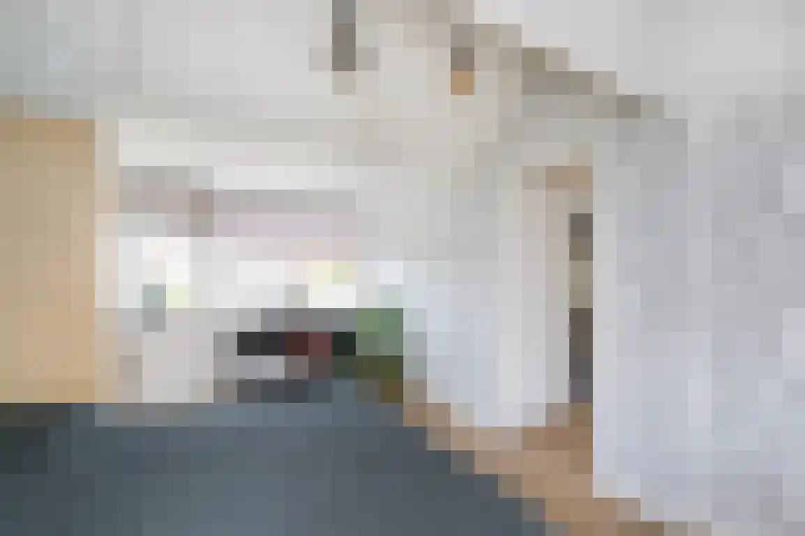Ds. C.W. van de Poelstraat 14 Den Bommel thumbnail 25