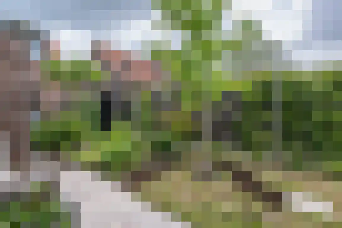 Ds. C.W. van de Poelstraat 14 Den Bommel thumbnail 33