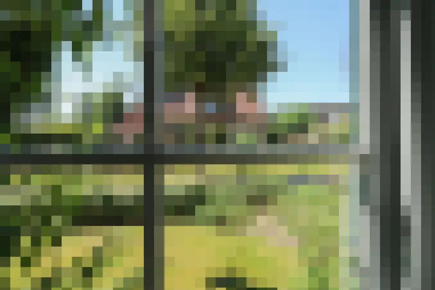 Ds Carsjenssingel 18 Oudega thumbnail 25