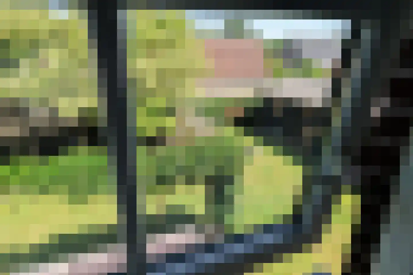 Ds Carsjenssingel 18 Oudega thumbnail 57