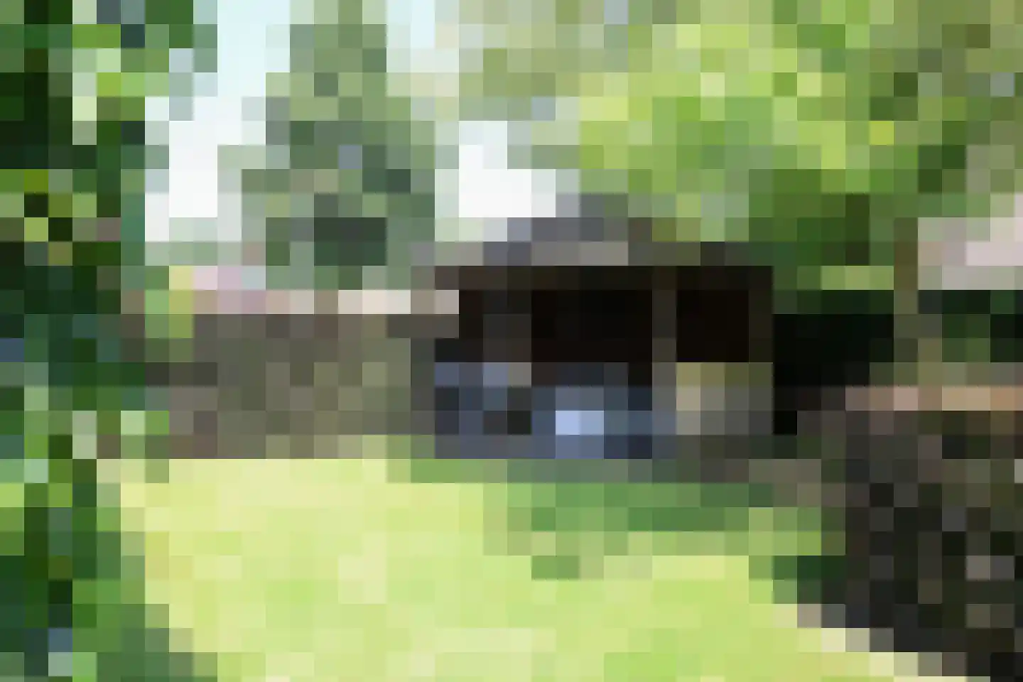 Ds Carsjenssingel 18 Oudega thumbnail 66