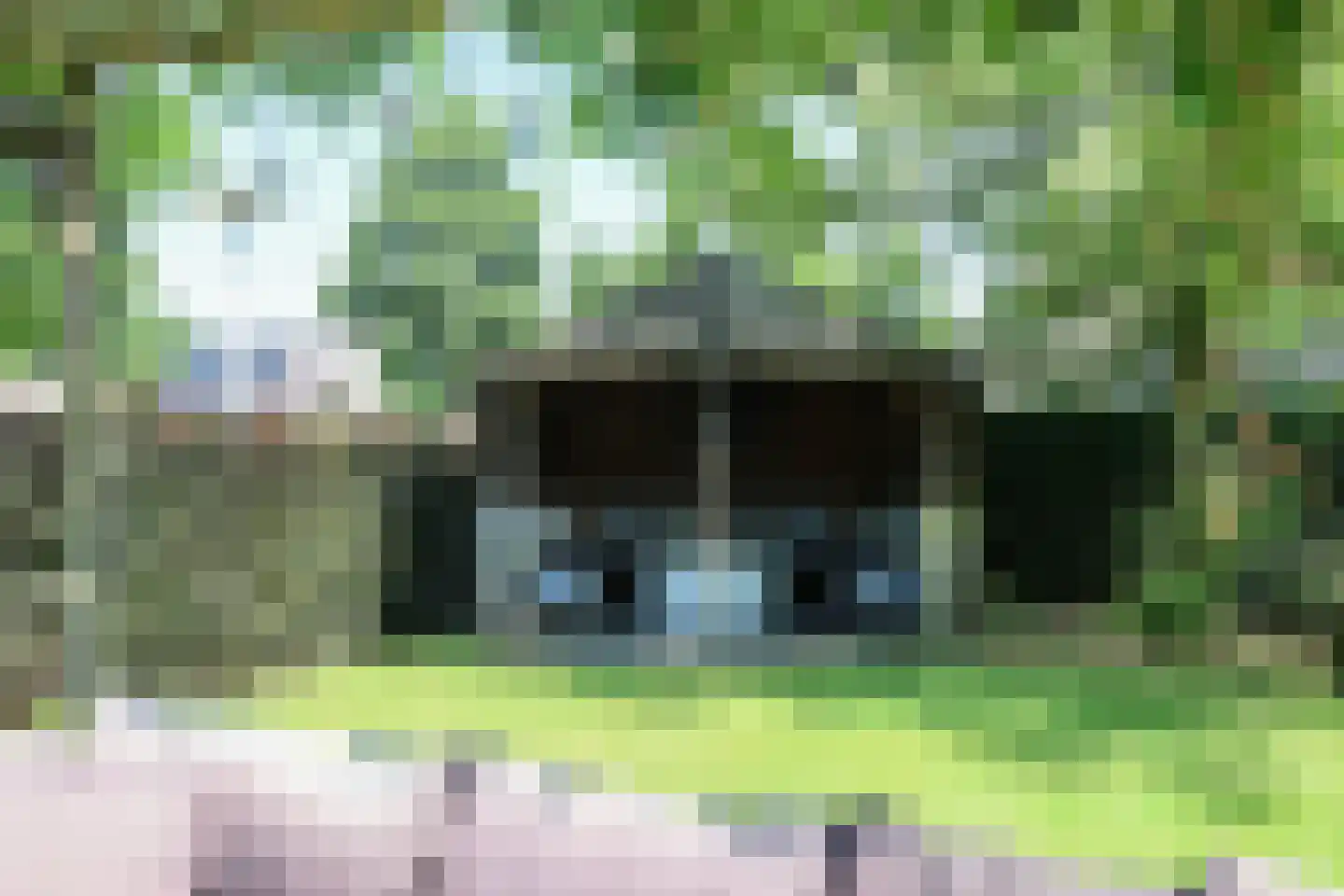 Ds Carsjenssingel 18 Oudega thumbnail 67