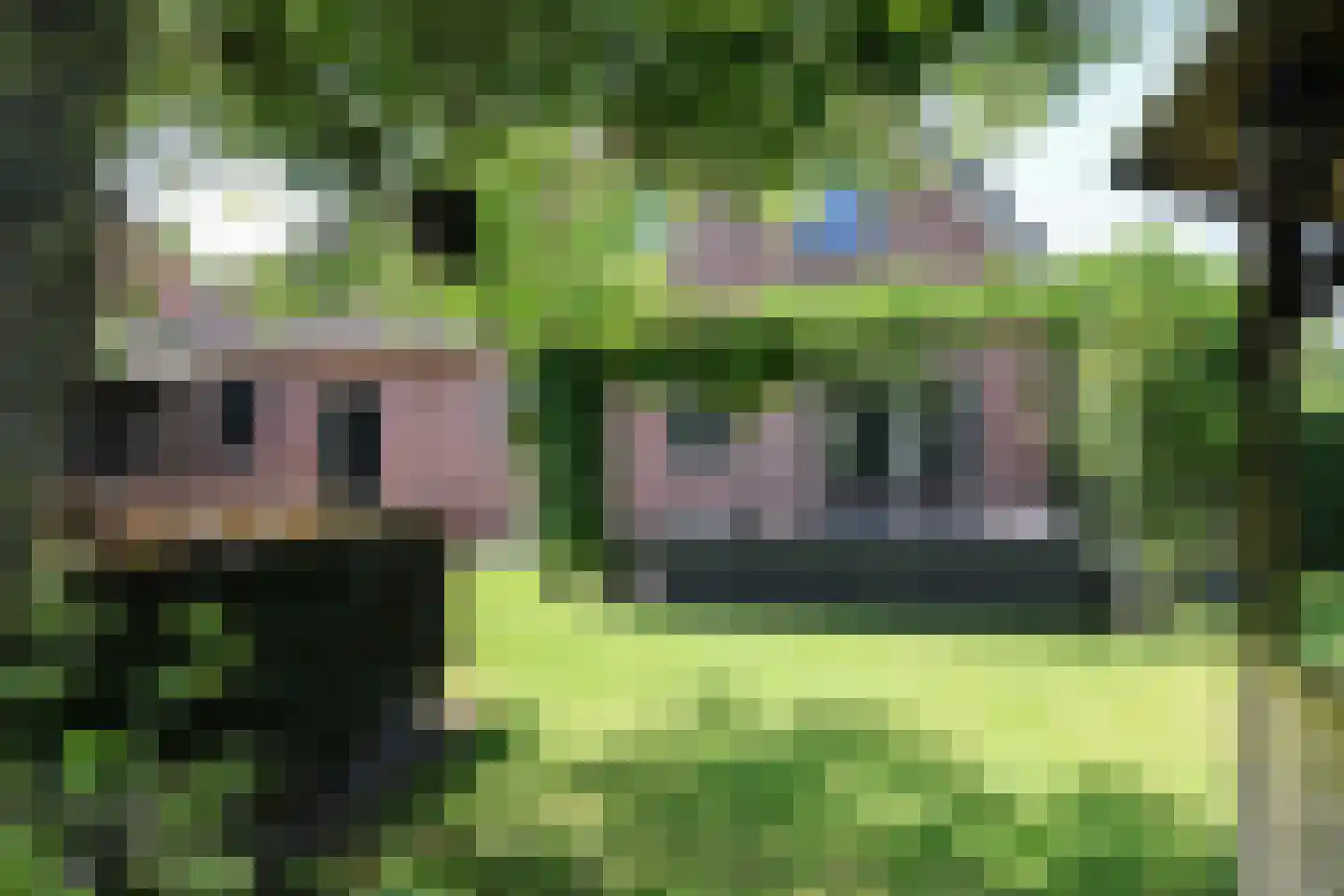 Ds Carsjenssingel 18 Oudega thumbnail 71