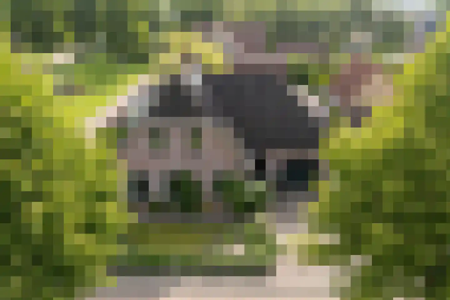 Ds Carsjenssingel 18 Oudega thumbnail 8