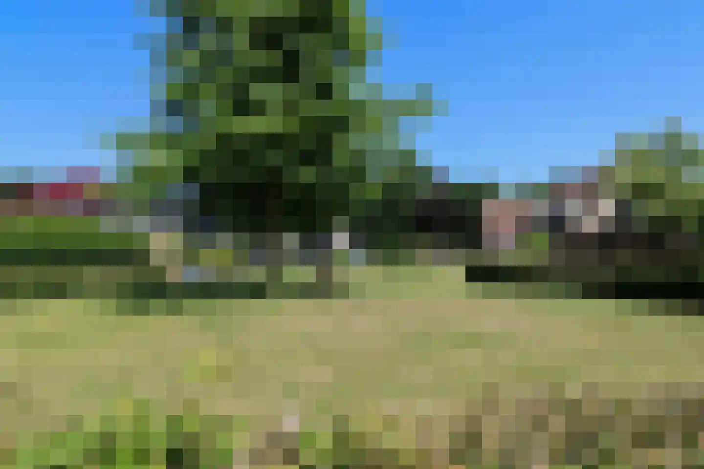 Ds Carsjenssingel 18 Oudega thumbnail 80