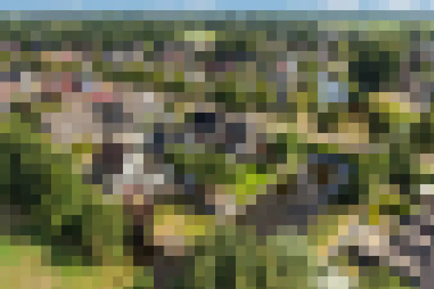 Ds Carsjenssingel 39 Oudega thumbnail 59