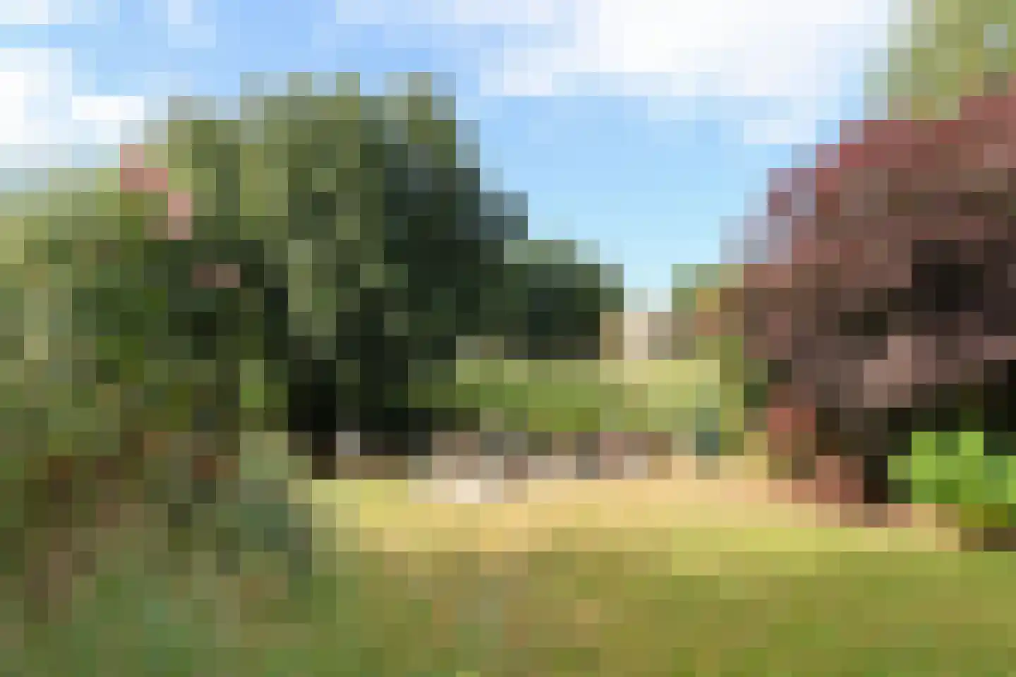 Ds Carsjenssingel 39 Oudega thumbnail 64