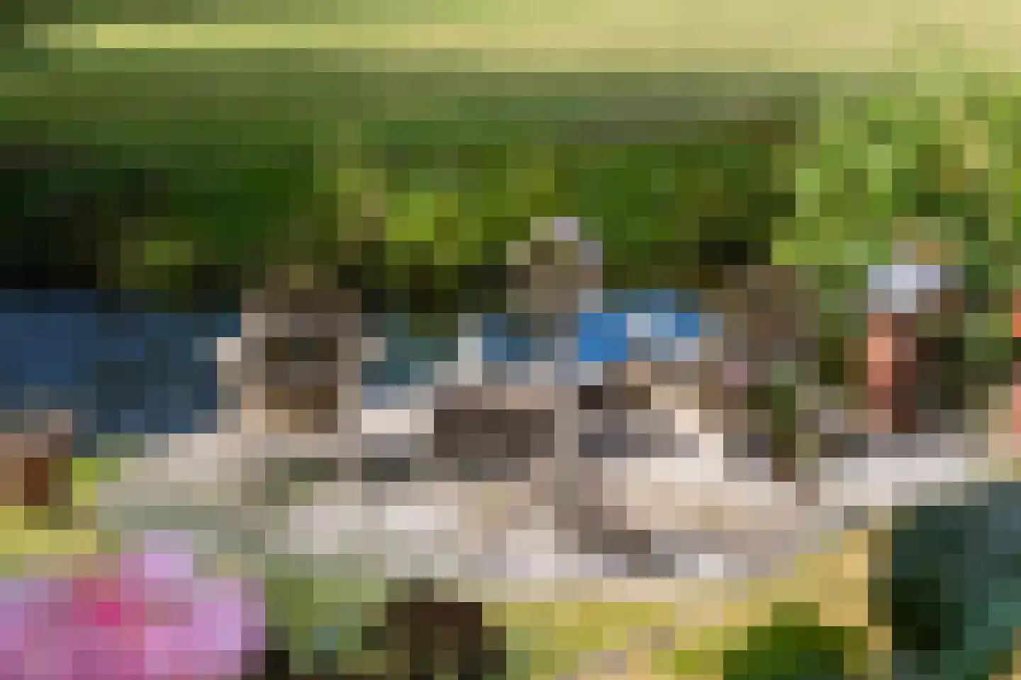Ds Carsjenssingel 39 Oudega thumbnail 65