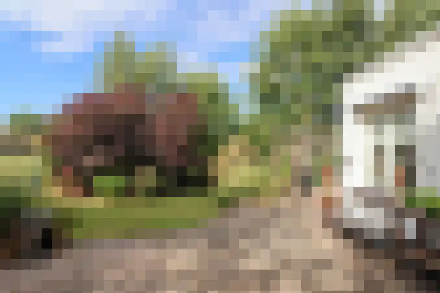 Ds Carsjenssingel 39 Oudega thumbnail 66