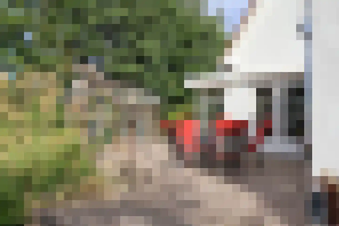 Ds Carsjenssingel 39 Oudega thumbnail 68