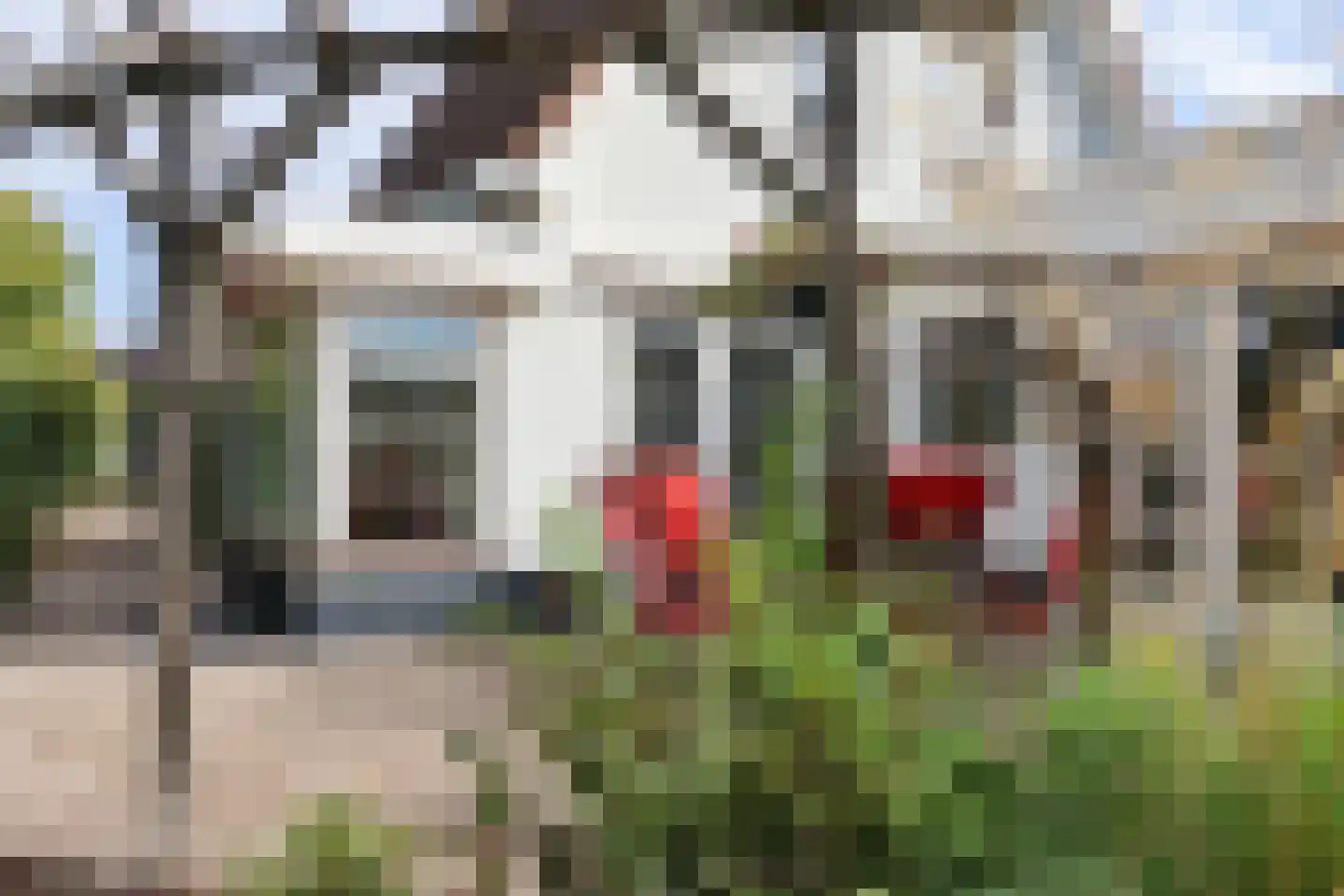 Ds Carsjenssingel 39 Oudega thumbnail 79