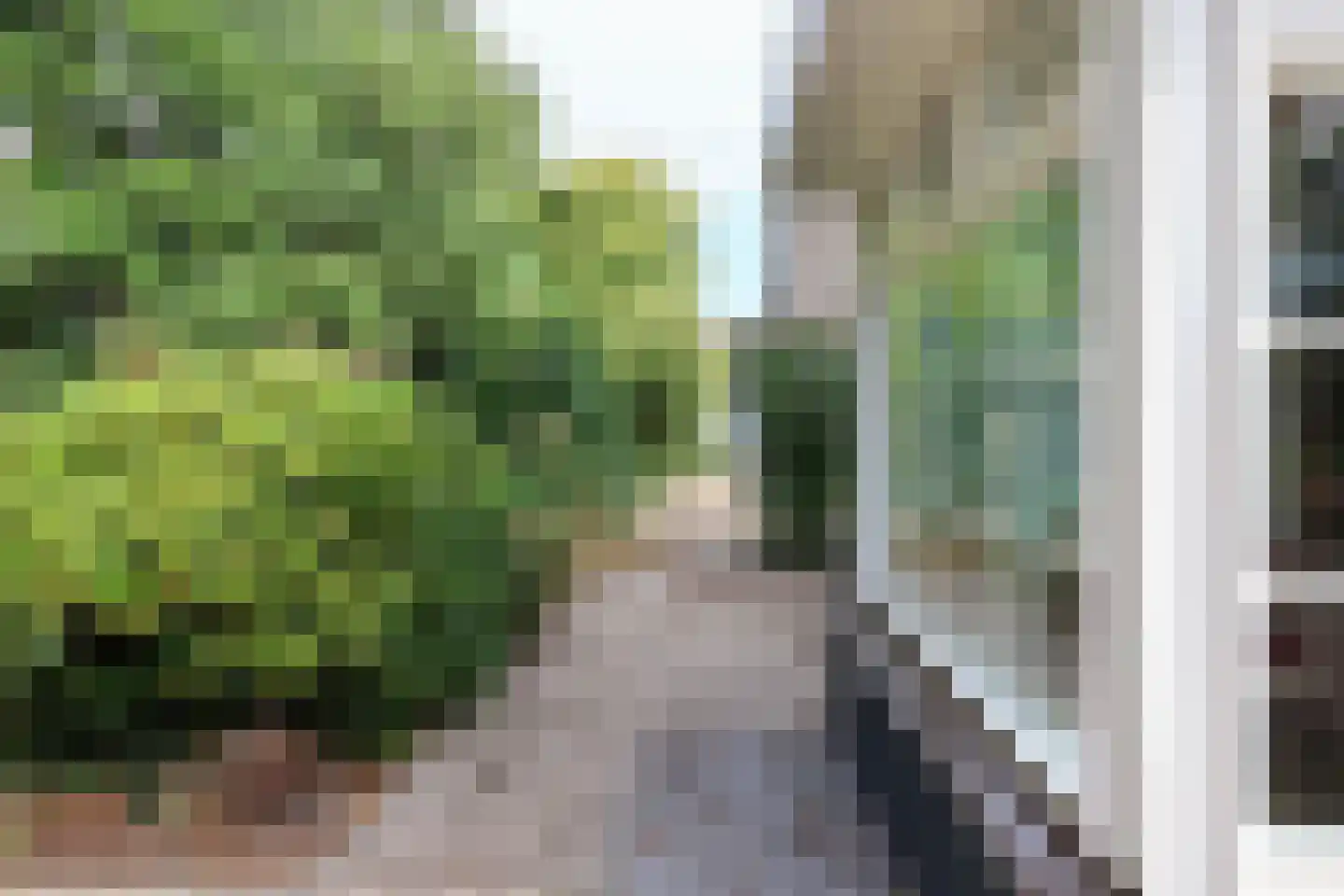 Ds Carsjenssingel 39 Oudega thumbnail 80