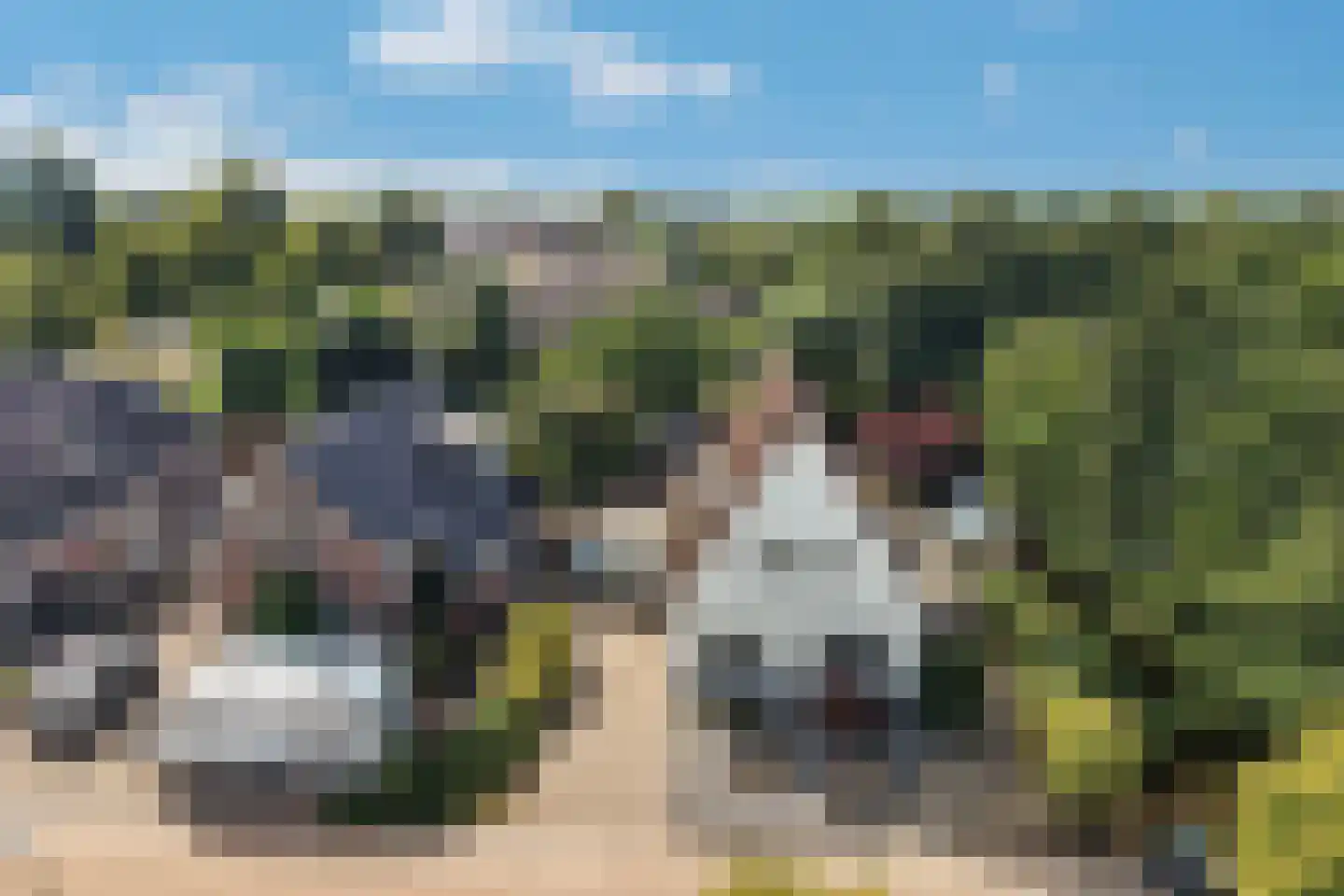 Ds Carsjenssingel 39 Oudega thumbnail 82