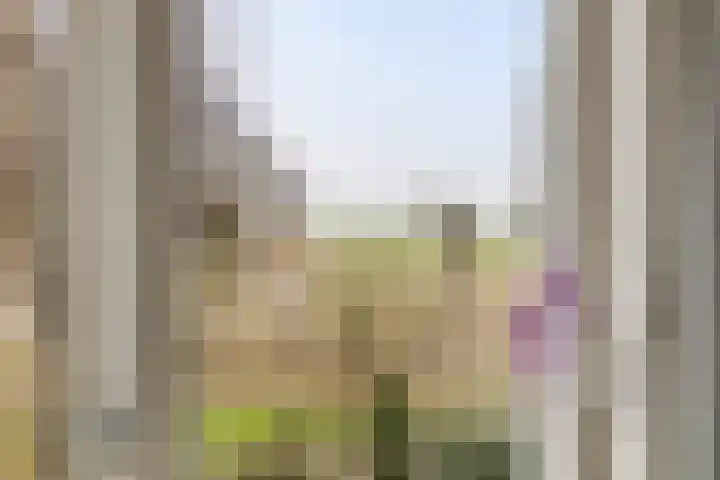 Ds. Christophoripad 5 Appingedam thumbnail 18