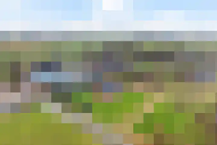 Ds. Christophoripad 5 Appingedam thumbnail 41