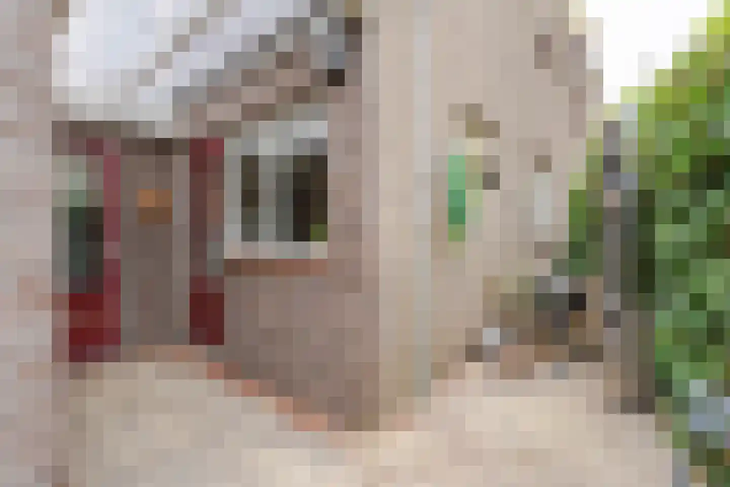 Ds D A van den Boschstraat 2 Hazerswoude-Dorp thumbnail 21