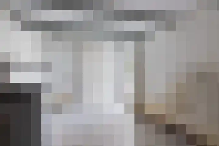 Ds. de Boerwei 14 Hemrik thumbnail 16