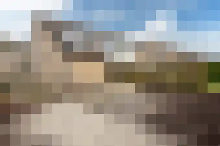Ds. de Boerwei 14 Hemrik thumbnail 20