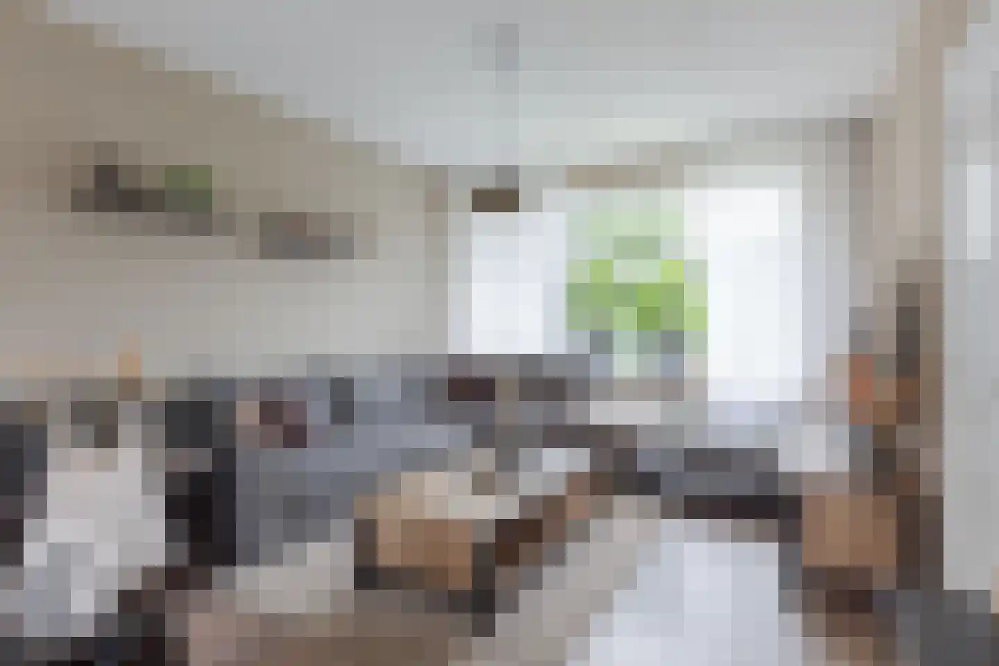 Ds. de Boerwei 17 Hemrik thumbnail 13