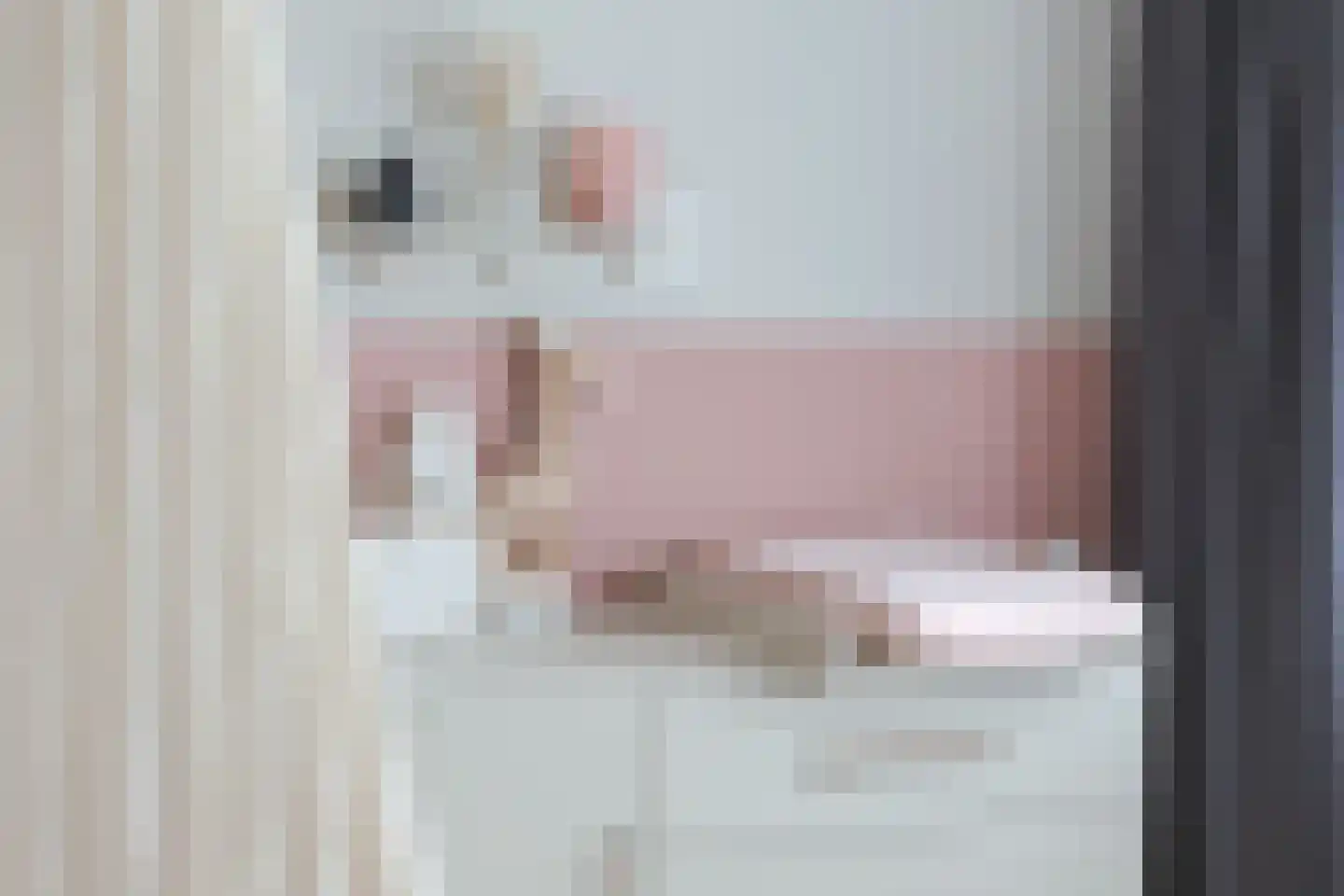 Ds. de Boerwei 17 Hemrik thumbnail 23