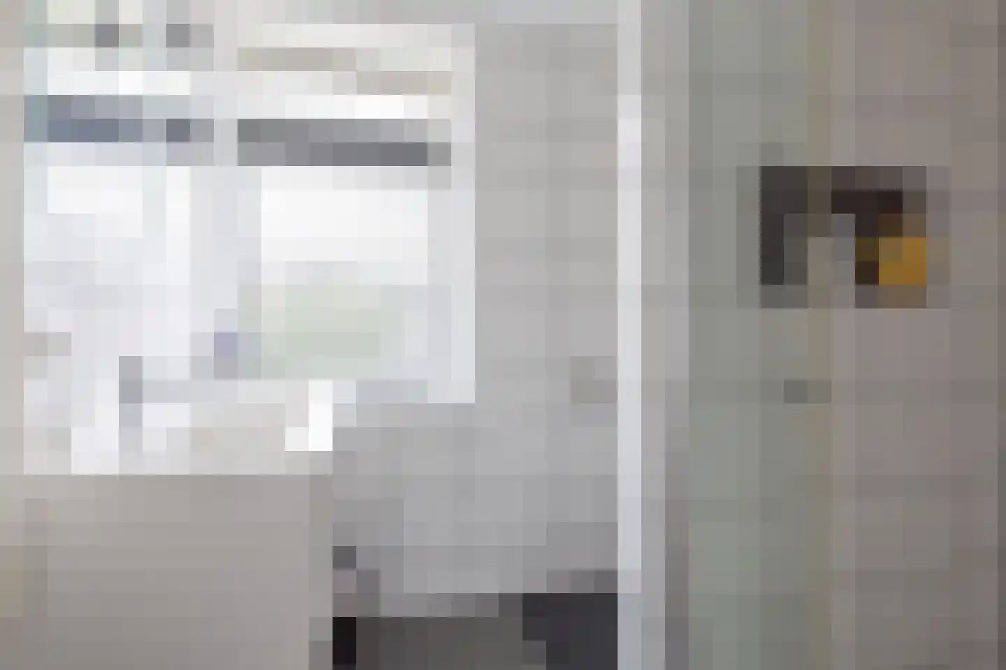 Ds. de Boerwei 17 Hemrik thumbnail 28