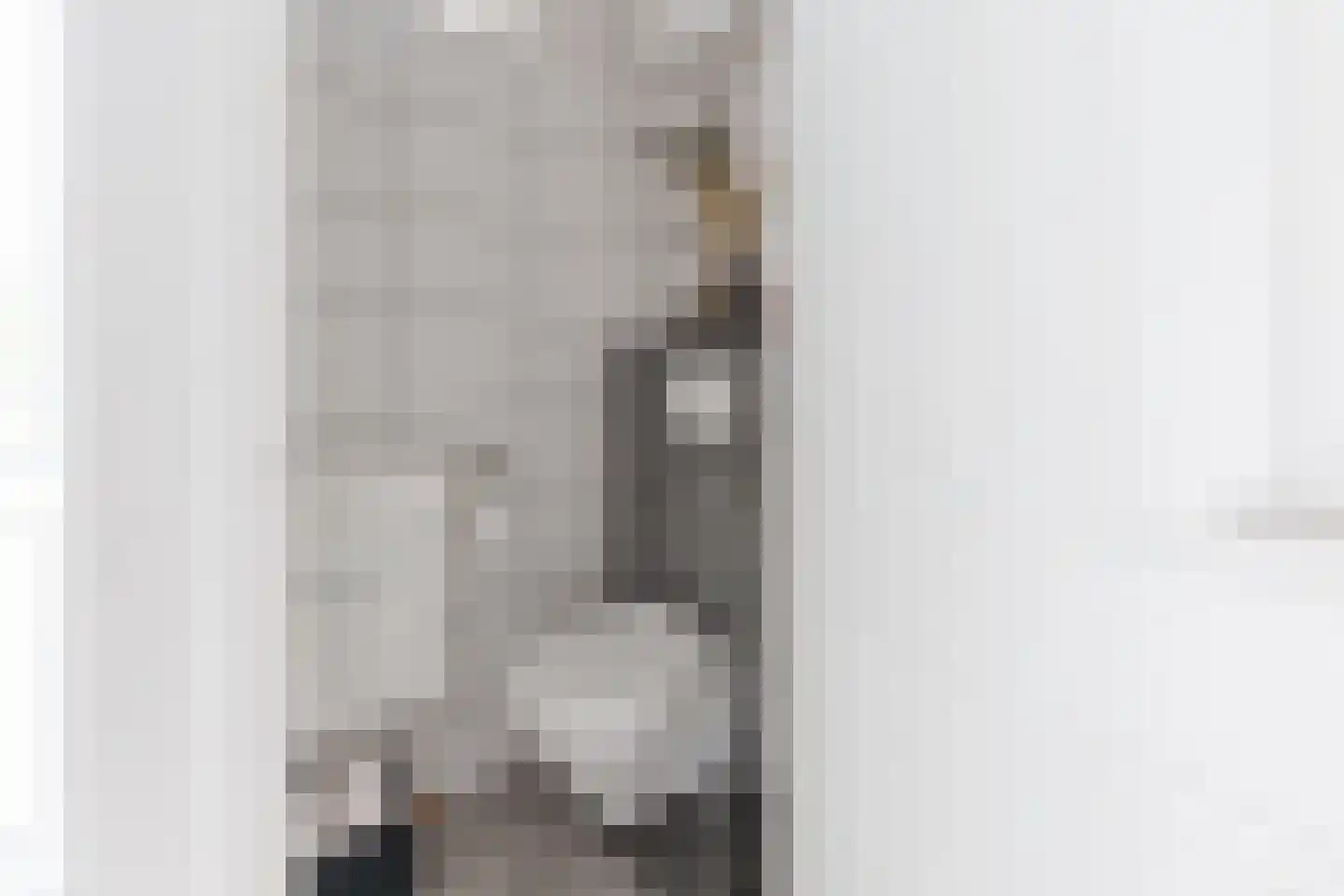 Ds. de Boerwei 17 Hemrik thumbnail 7