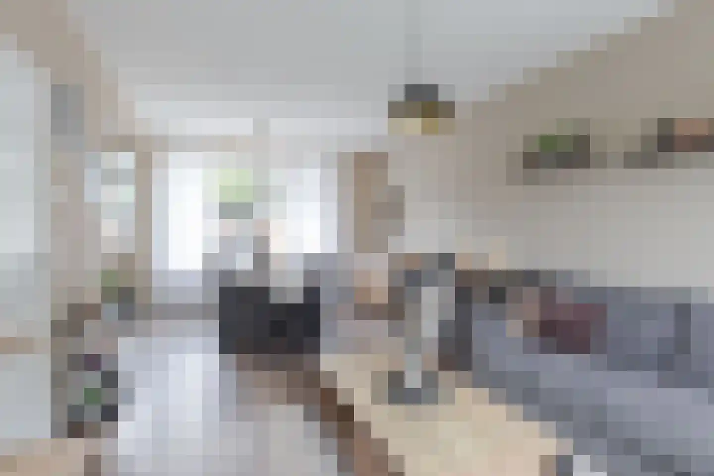 Ds. de Boerwei 17 Hemrik thumbnail 9
