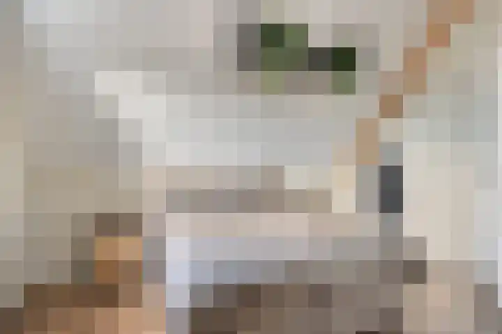 Ds. de Geusstraat 17 Almelo thumbnail 25