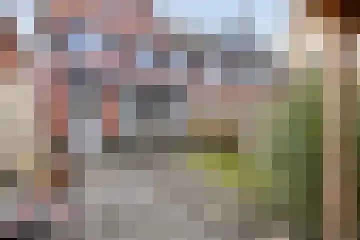 Ds. de Geusstraat 17 Almelo thumbnail 28