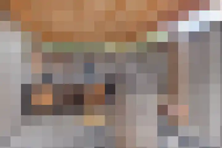 Ds. de Geusstraat 17 Almelo thumbnail 30